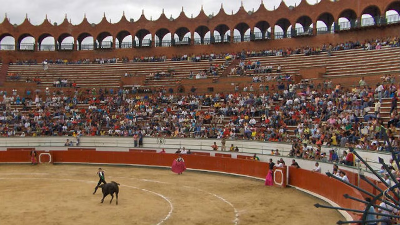 La Corrida de Toros Flashcards