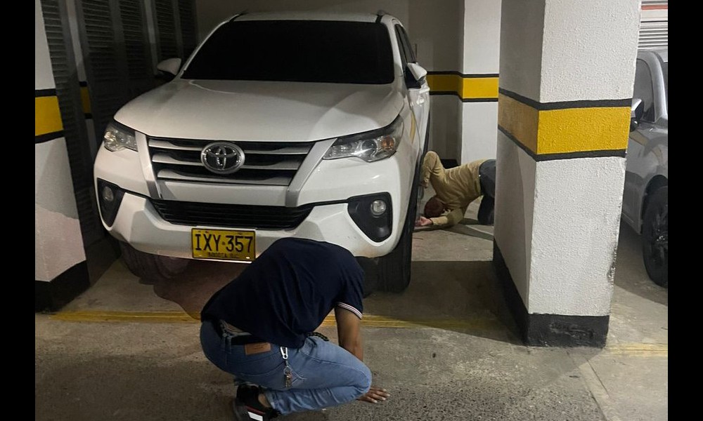 Conductor atropella a mujer tras reclamo por la muerte de su perro en ...
