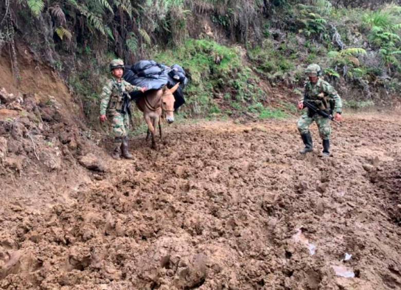 Tarjetones son trasladados en mula por afectaciones climáticas/El Colombiano