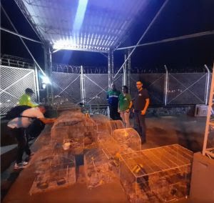 Operativo de allanamiento y rescate de 35 animales en condición de maltrato extremo en Manizales, Caldas / Corpocaldas 