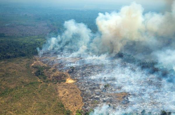 Incendios forestales azotan la Amazonía y la Orinoquía afectando en grandes proporciones hectáreas de vegetación en el país / Foto: EFE