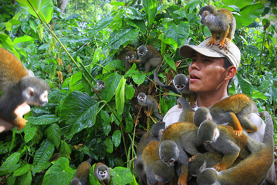 Amazonas