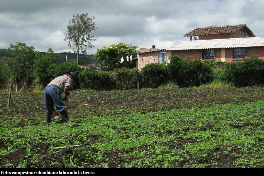 Campesino