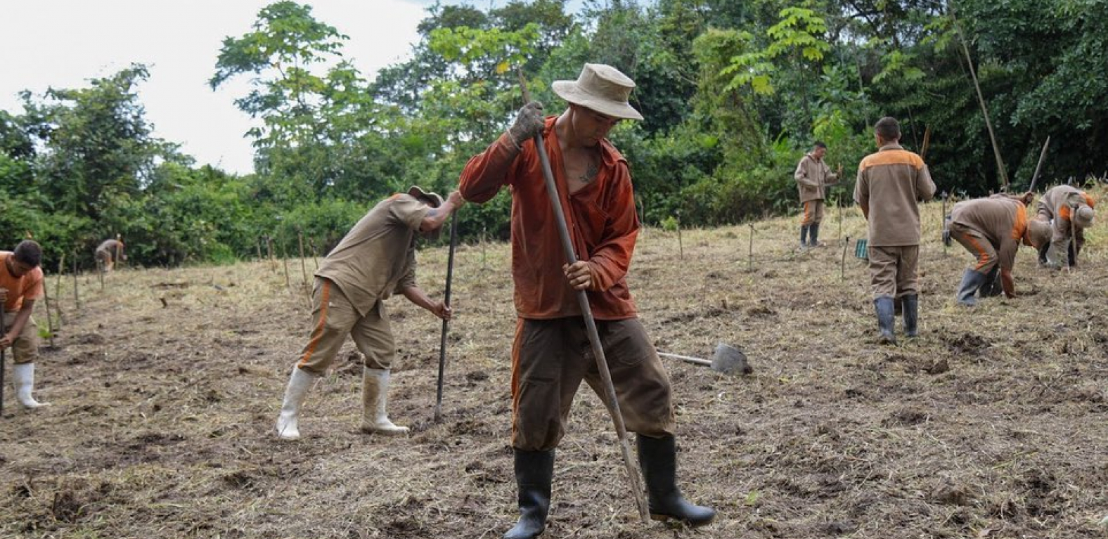 Campesinos sembrado tierra