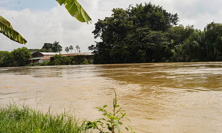 Imagen del rio Cauca
