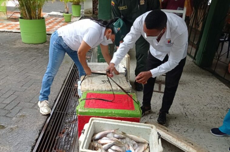Incautan cargamento de pescado en mal estado/ Noticias De Buenaventura, Colombia Y El Mundo