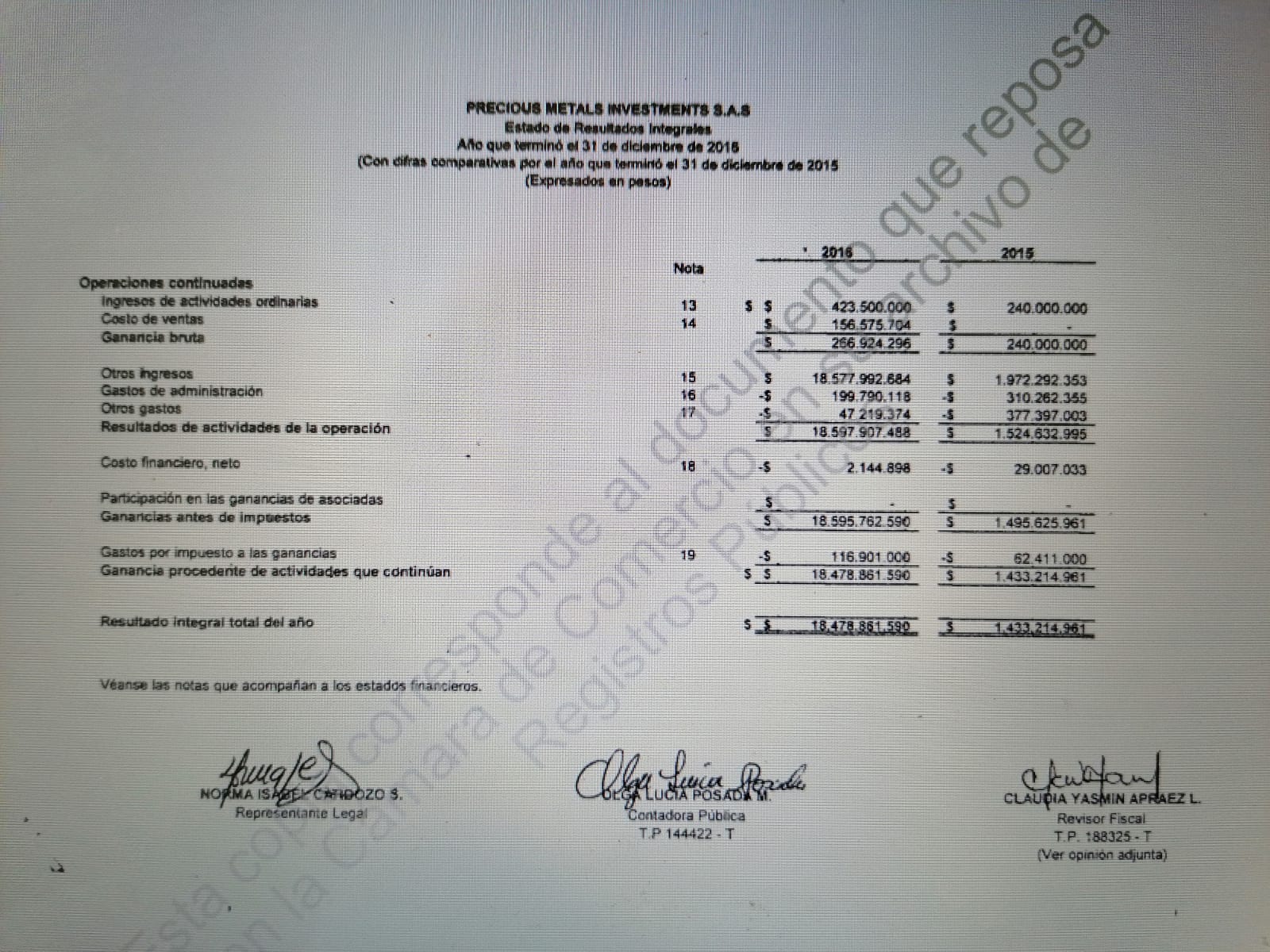 estado de resultados integrales de Precious Metalts Investment SAS 