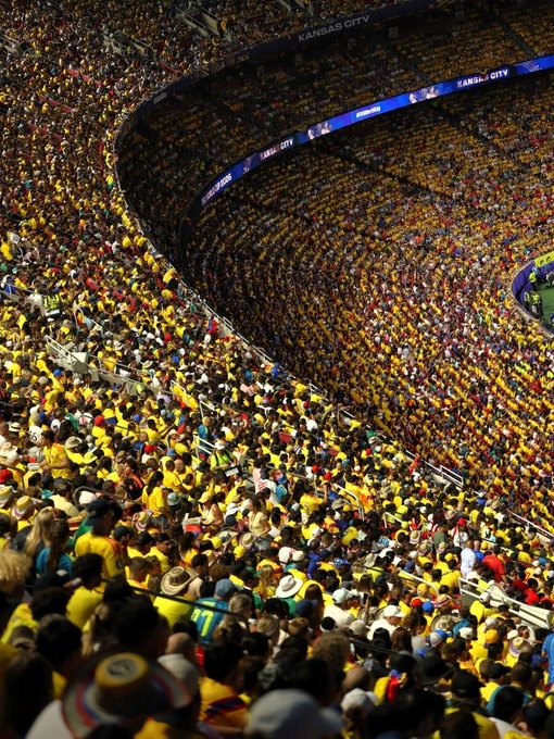 Aficionados colombianos. FIFA.