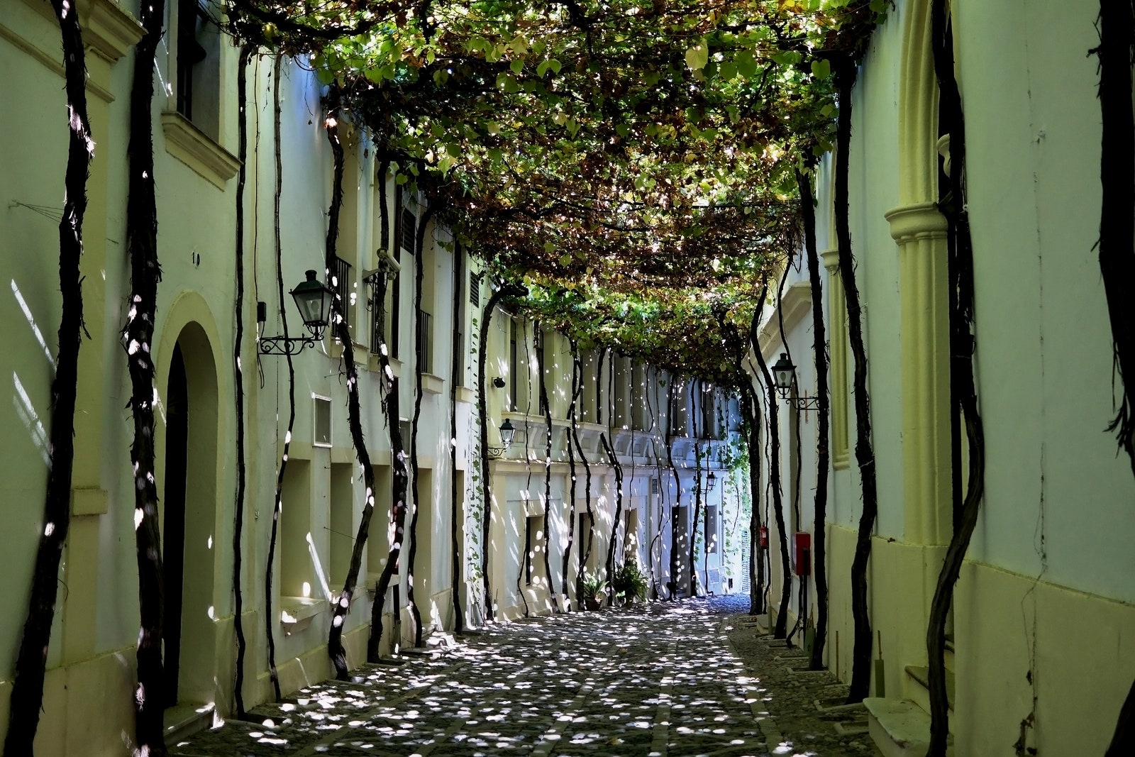 Jerez de la Frontera, España / Foto: HomoCosmicos / Getty Images.