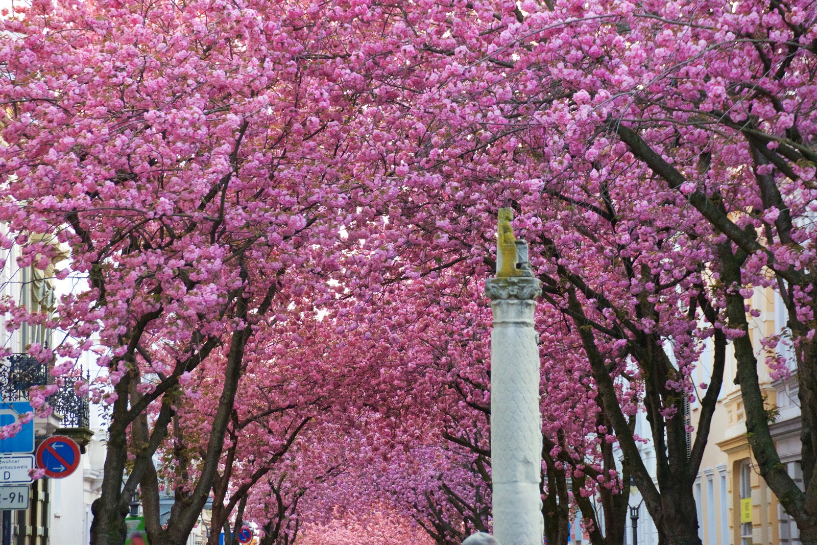 Bonn, Alemania / Foto: emson / Getty Images.