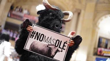 Ley corridas de toros