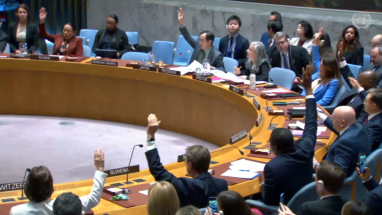 Consejo de la ONU