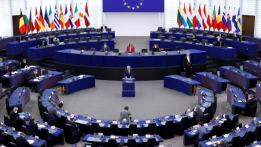 Parlamento europeo 29 julio