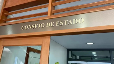 Consejo de Estado 25