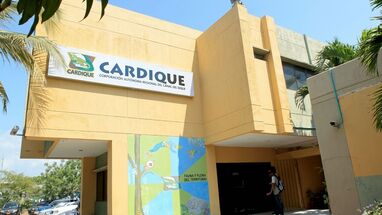 Cardique