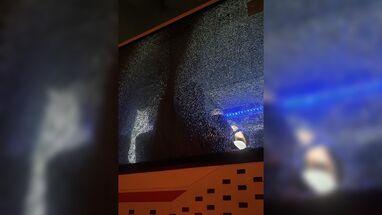 Bus Nacional vandalizado