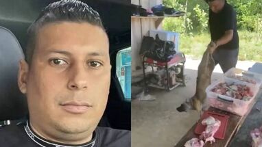 Cárcel a hombre por maltrato animal en Bolívar