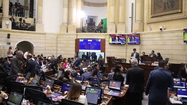 Senado II-2026