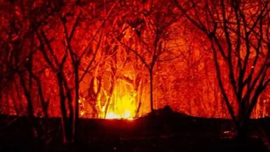 apoyos para agricultores afectados por incendios forestales en Tolima