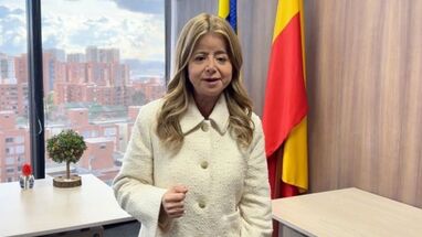 Ministra Elsa Noguera