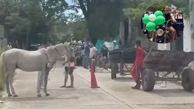 Andrea Padilla logra liberar equinos de rudo trabajo