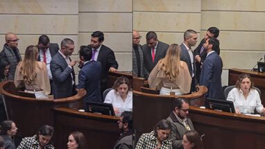Careo congresistas