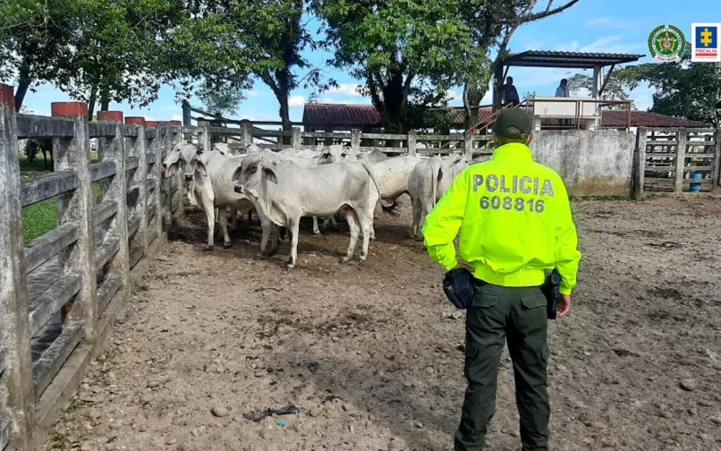 Bienes de alias 'Pedro Orejas' incautadas por la Fiscalía