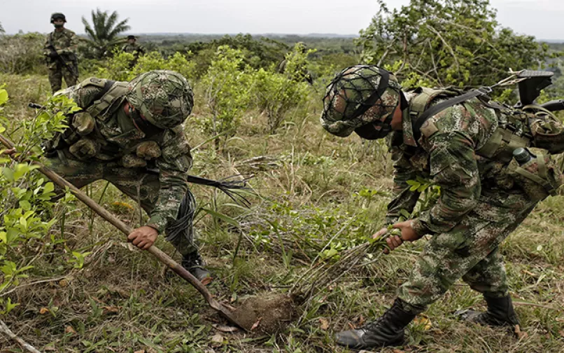 Erradicación forzada de cultivos de coca se suspende