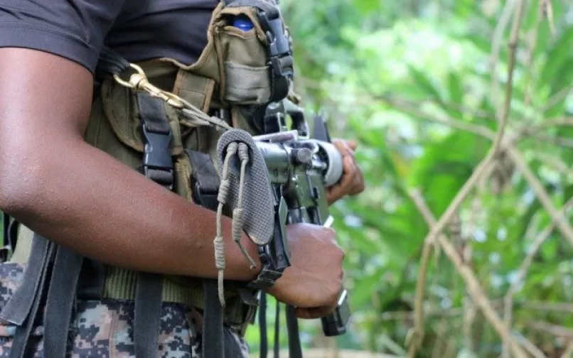 Grupo Armado detencion