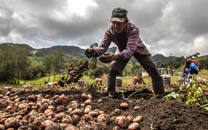 Petro insiste en modificar el marco fiscal para cumplir con la reforma agraria