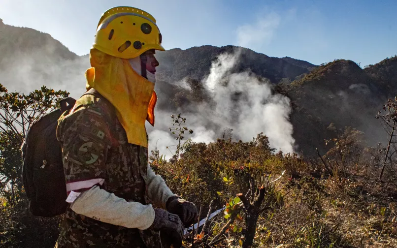 bomberos en bogotá 24 de enero