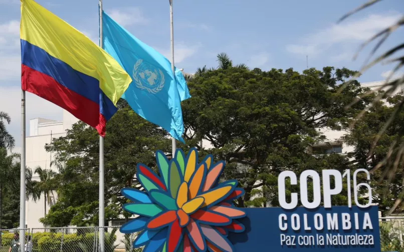 Zona Azul COP16