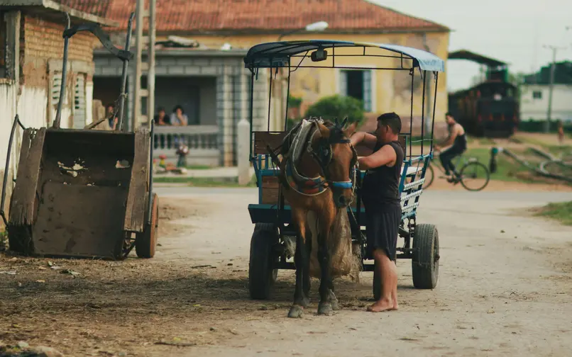 vehículos de tracción animal