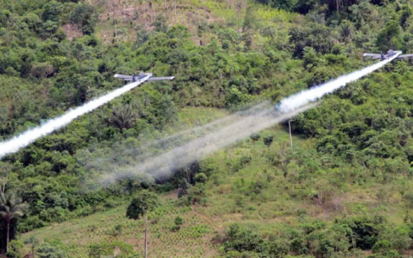 Glifosato fumigaciones 25