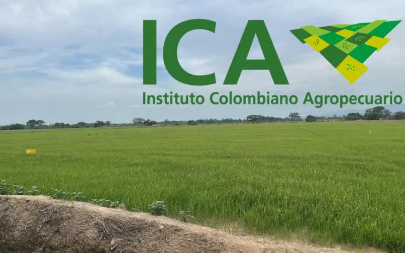 ICA Colombia