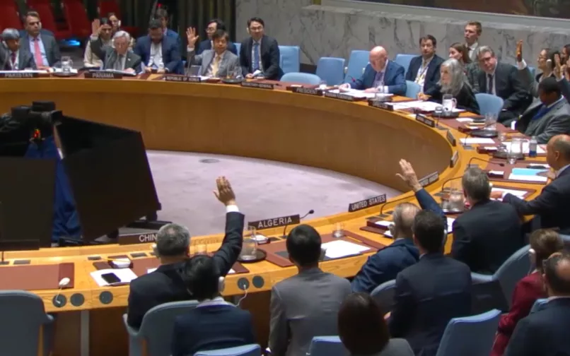 Consejo de Seguridad de la ONU 25