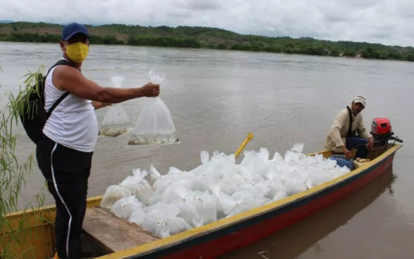 Pescadores y acuicultores en Sincelejo