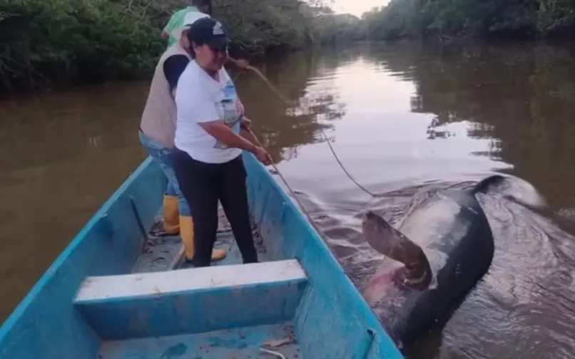 manat muerto en barrancabermeja