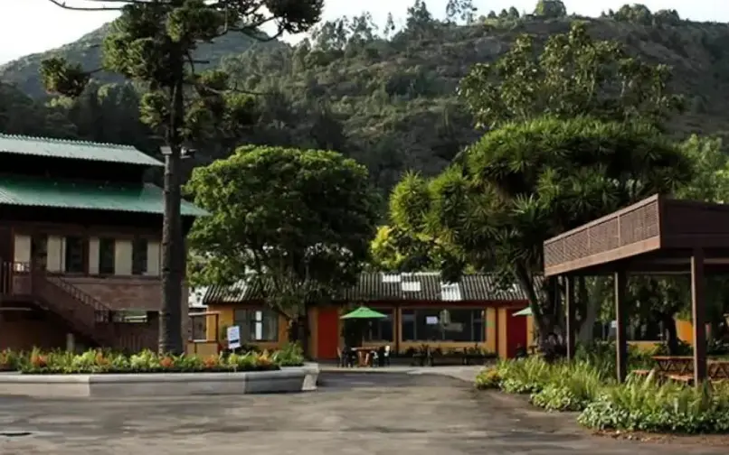 Colegio Refous Foto: Google Maps