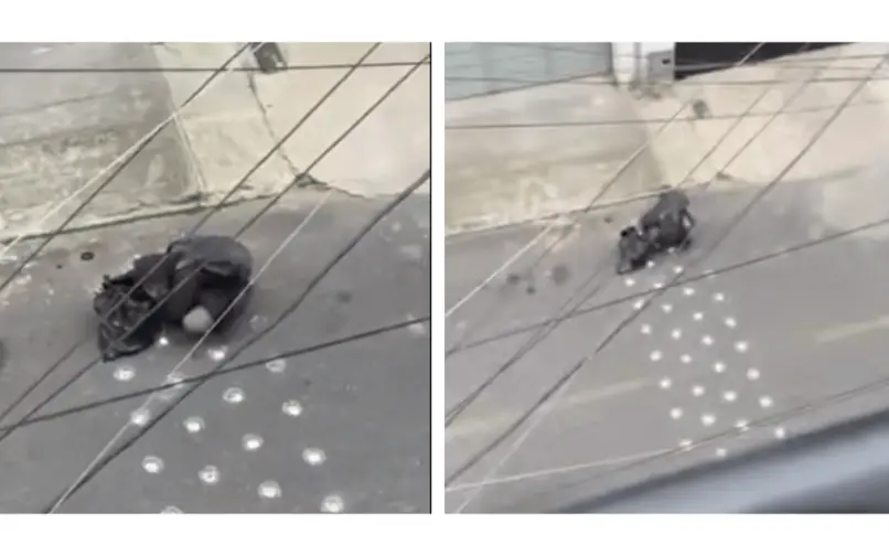 Robo de reductores de velocidad en Bogotá