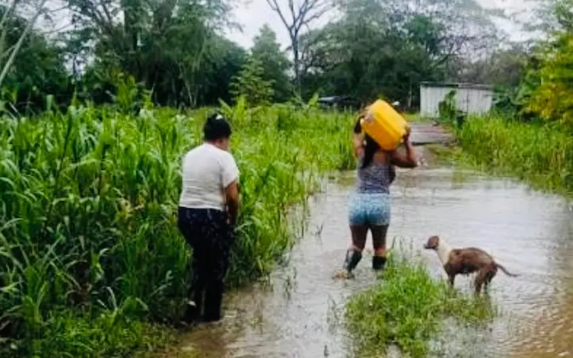El programa contempla refinanciación de deudas, nuevos créditos y subsidios para apoyar la recuperación de cultivos e infraestructura agropecuaria afectada por las lluvias.