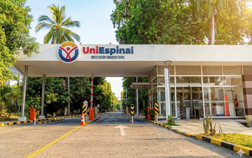 Uniespinal