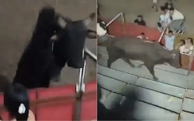 Toro saltó a las graderías y dejó varios heridos