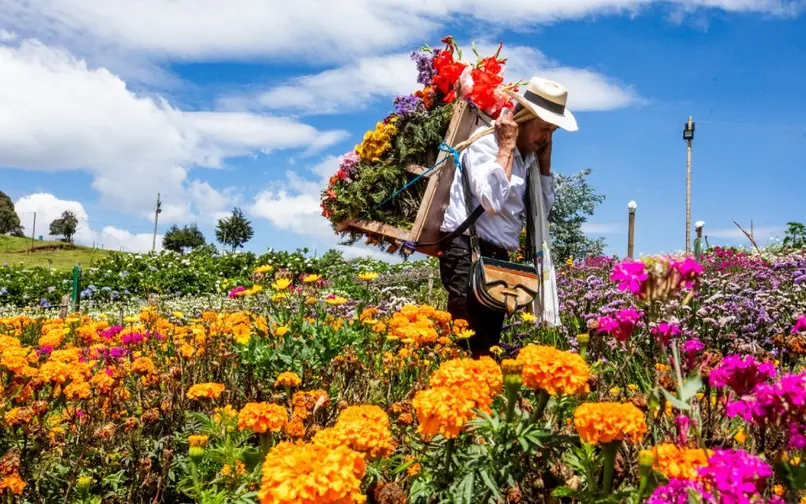Feria Flores 2026