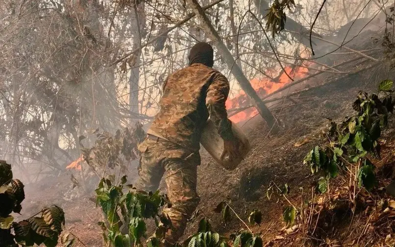 Incendio forestal en la vereda La Peña, de Abejorral, Antioquia