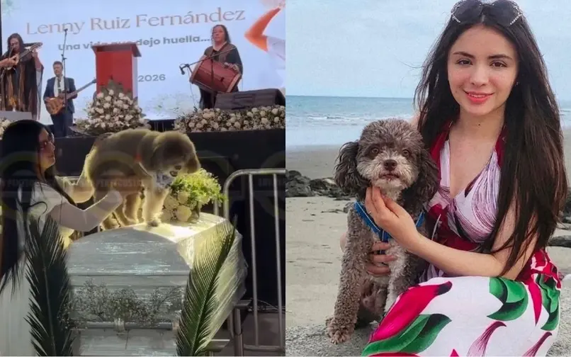 Llevaron a Salomón a las exequias de su dueña, la abogada amante de los animales que murió aferrada a él