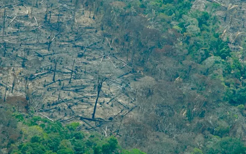 Deforestación en Colombia 26