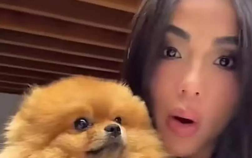 Karina García desata indignación por pedir que devolvieran un perro porque “no era original”