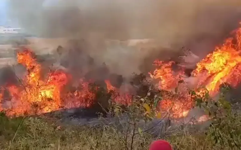 Tolima incendios