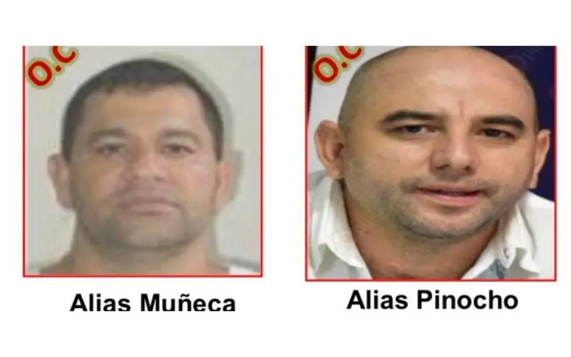Alias 'Muñeca' y alias 'Pinocho' de las ACSN